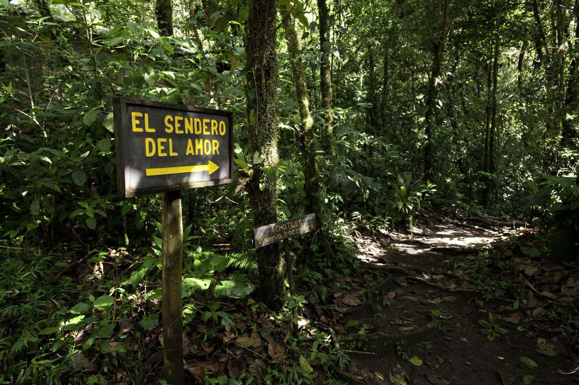 Hotel Wagelia Espino Blanco Turrialba Exterior foto